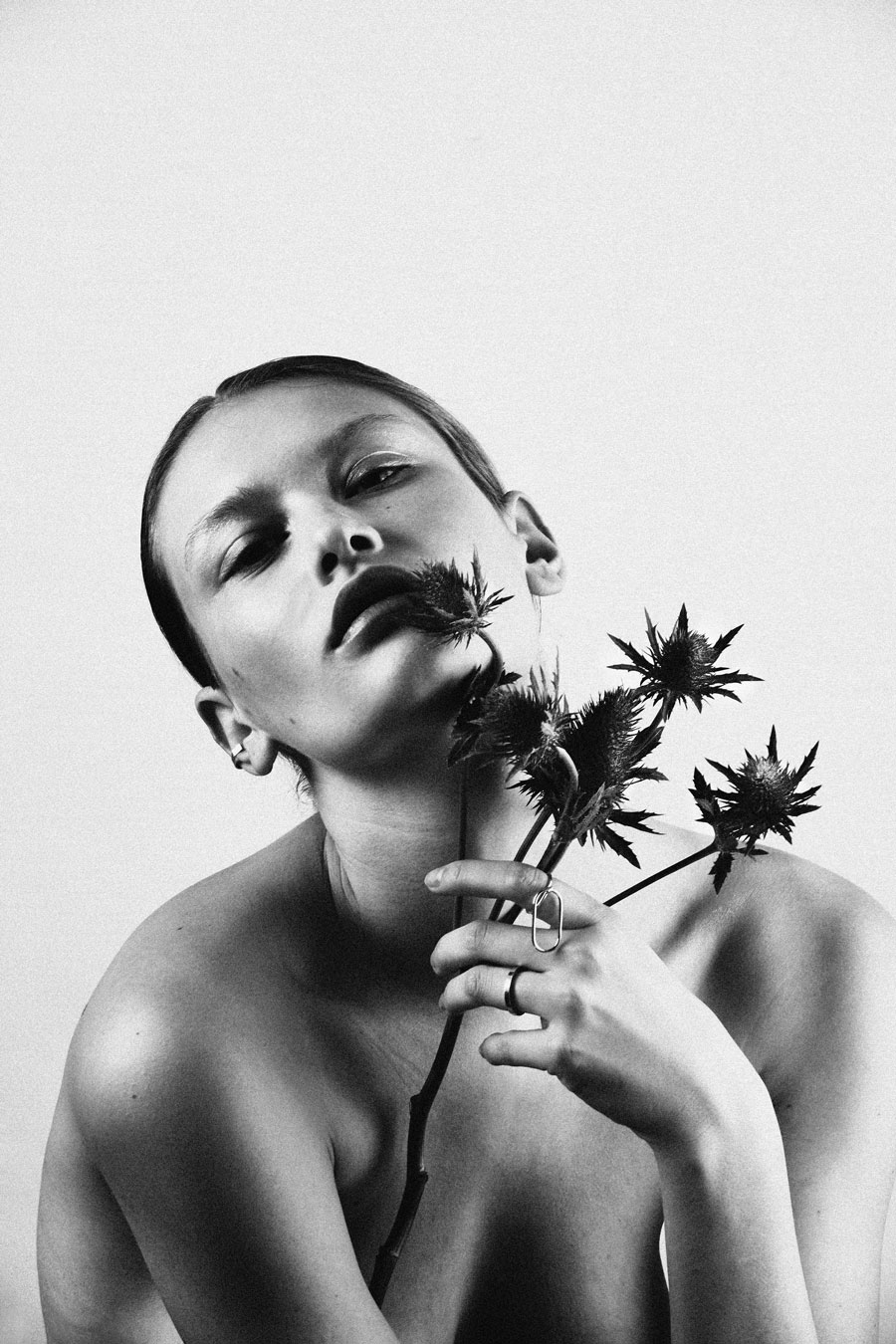 Beauty & thistle