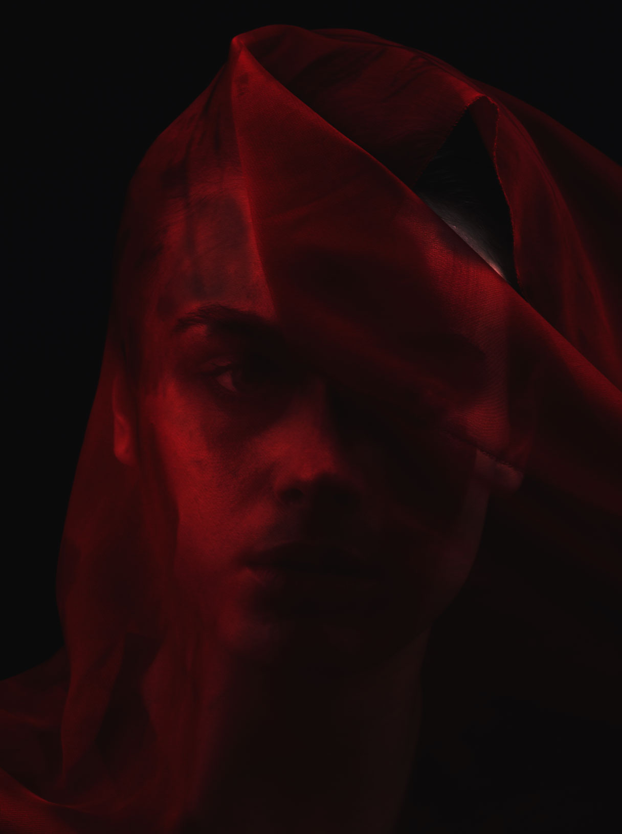 blood & beauty 1
