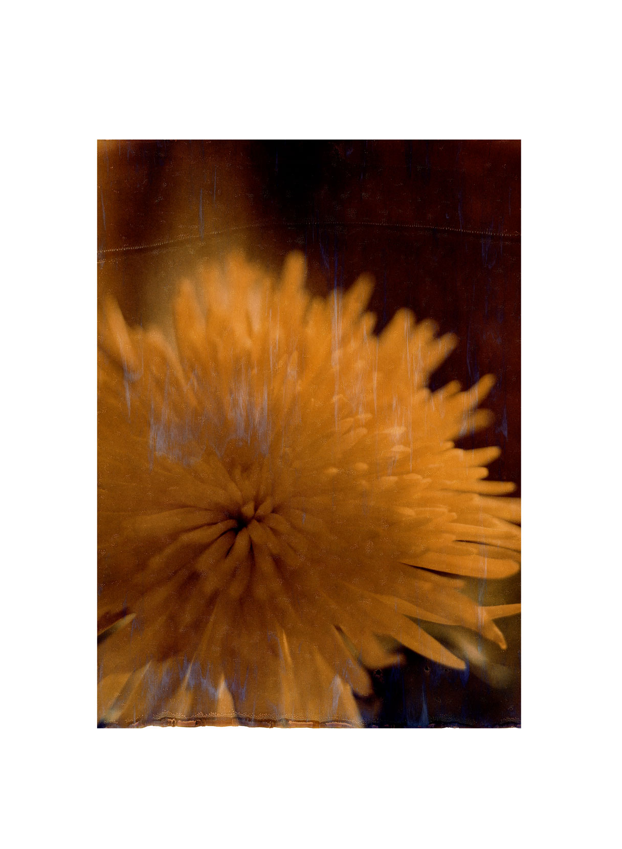 Table Flower 1
