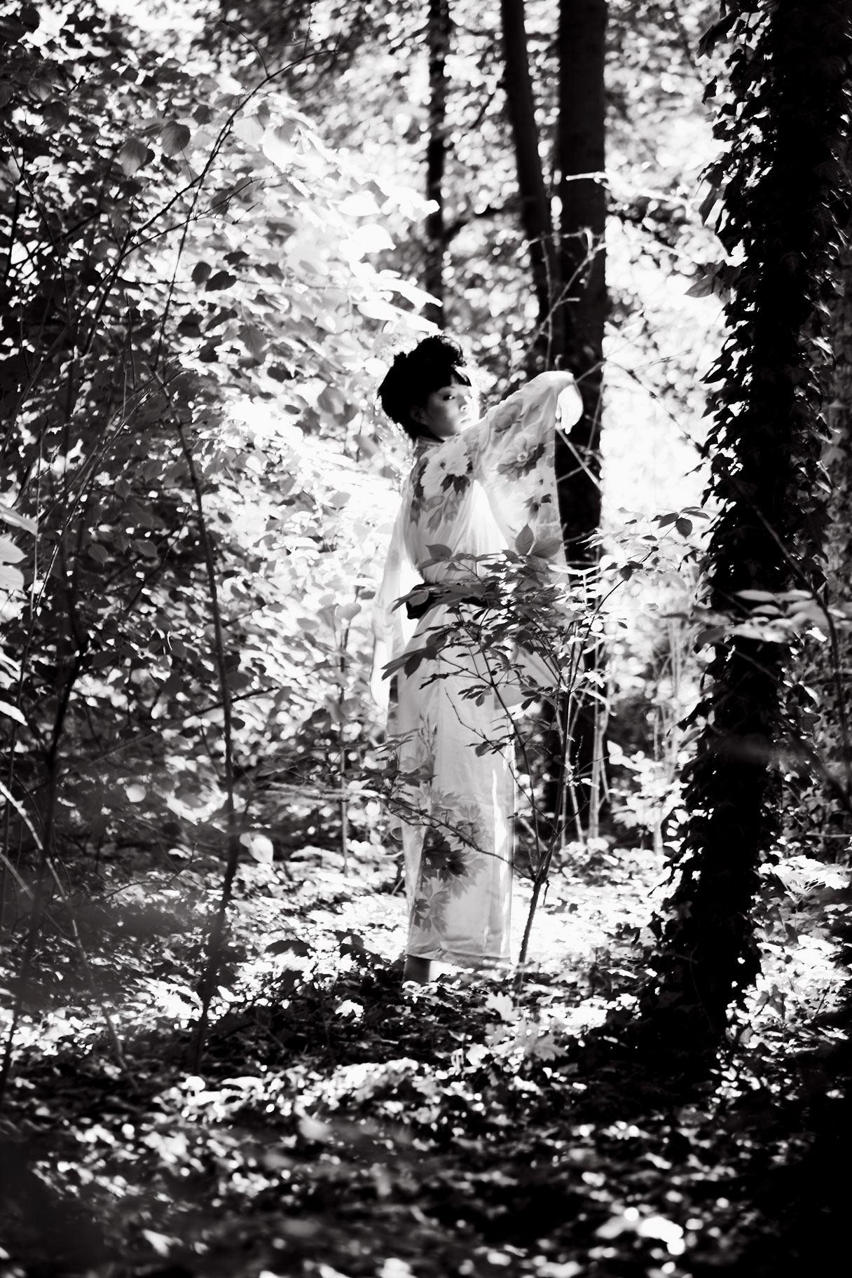 Geisha 3